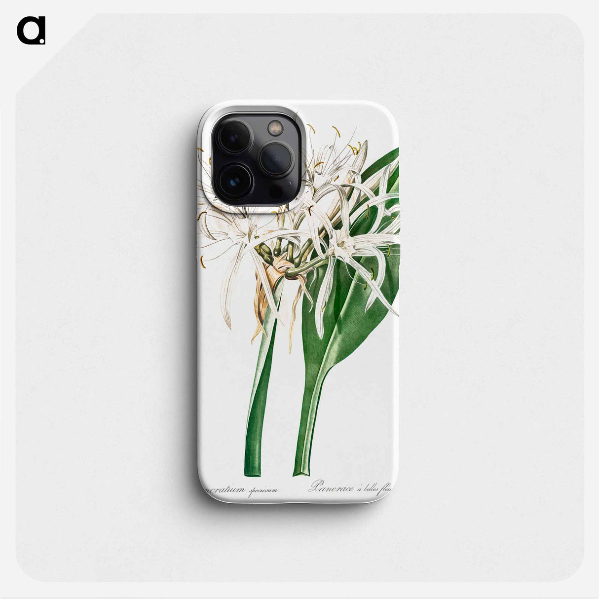 Green-tinge spiderlily illustration - ピエール ジョゼフ ルドゥーテ Phone Case.