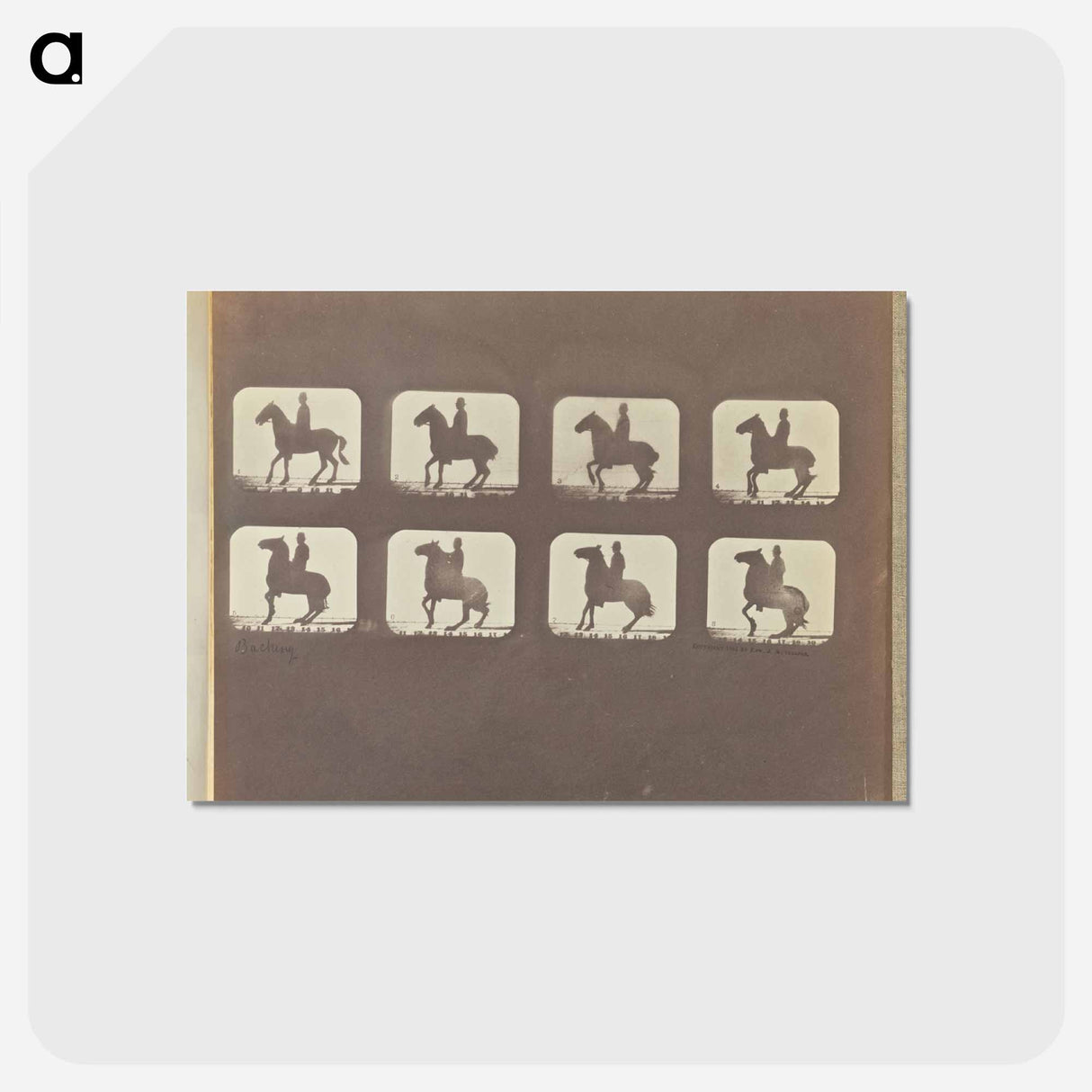 アートポストカード-Backing
- エドワード マイブリッジ Postcard.