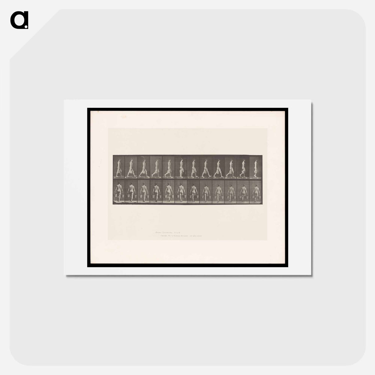 アートポストカード-Man with Buckets
- エドワード マイブリッジ Postcard.