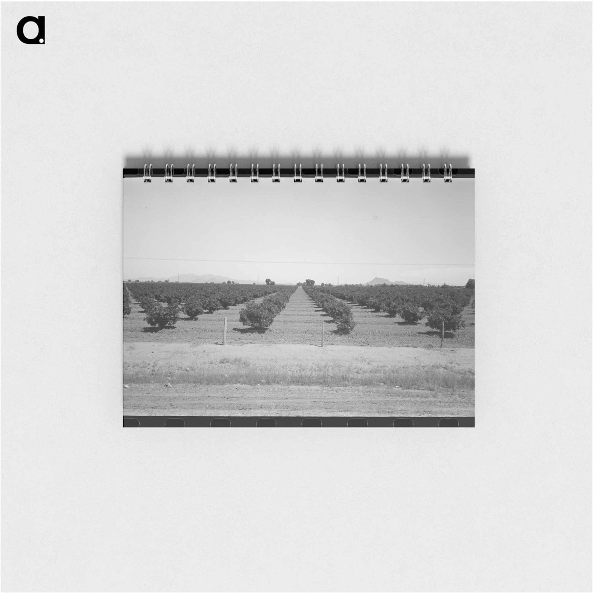 アートメモ帳-Dead Ox Flat
- ラッセル リー Memo.