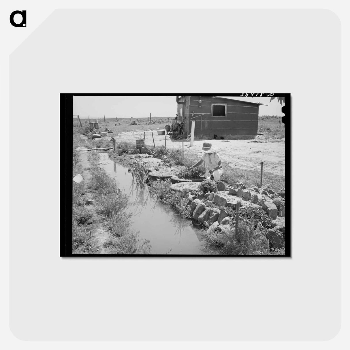 アートポストカード-Dead Ox Flat
- ラッセル リー Postcard.