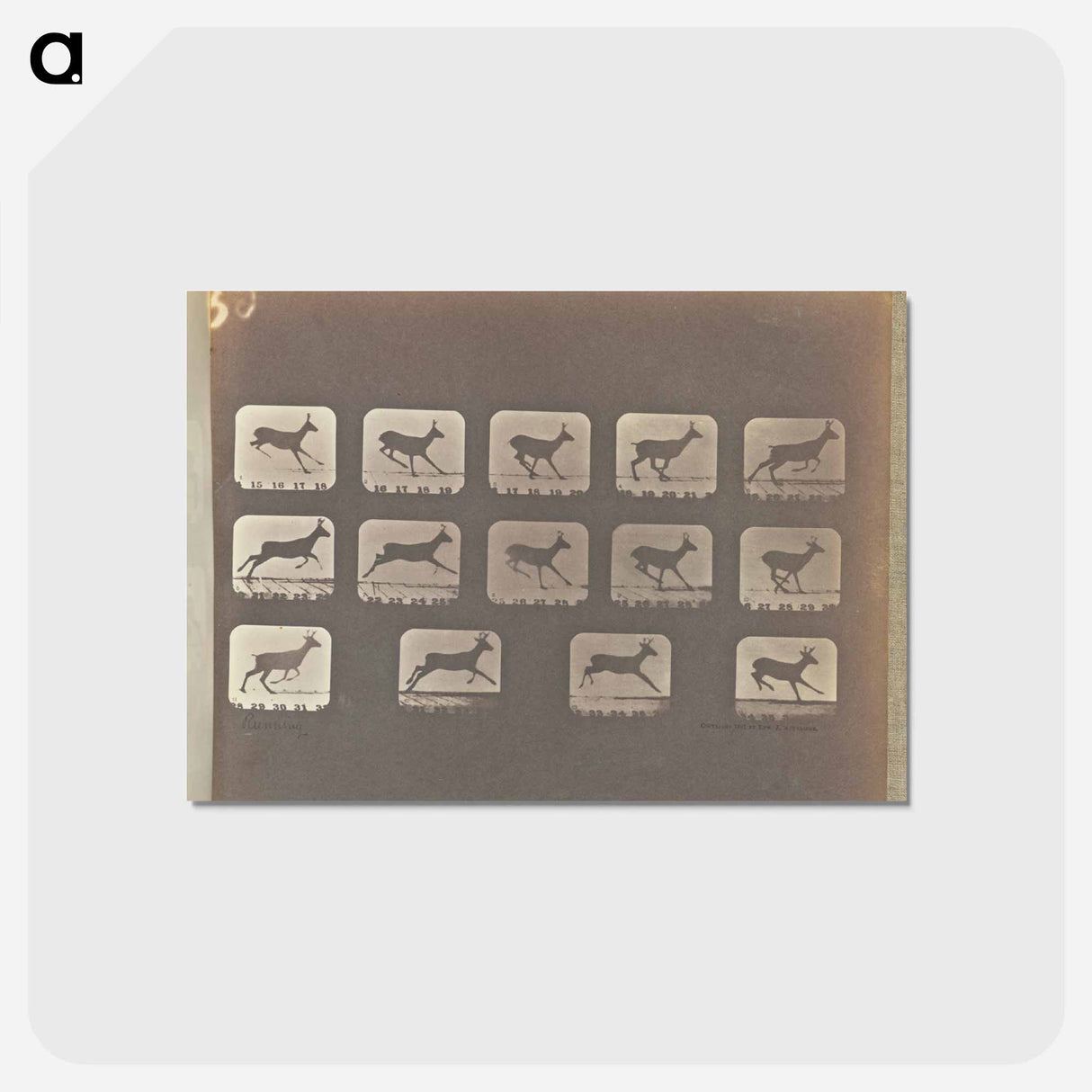 アートポストカード-Running
- エドワード マイブリッジ Postcard.