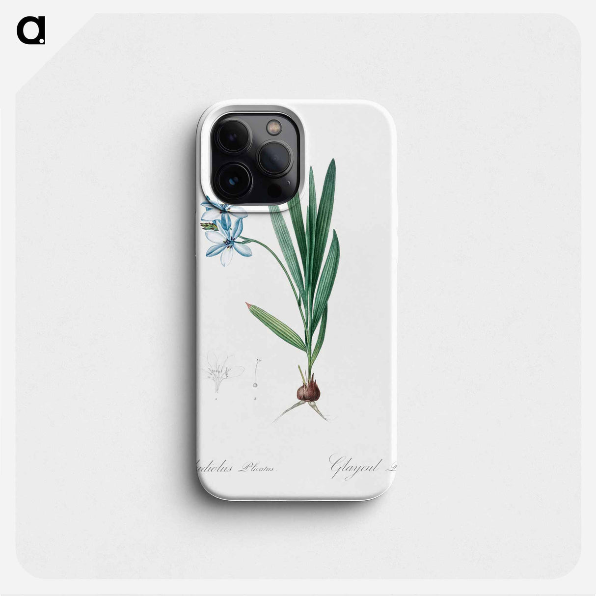 Gladiolus plicatus illustration - Pierre Joseph Redouté Phone Case.