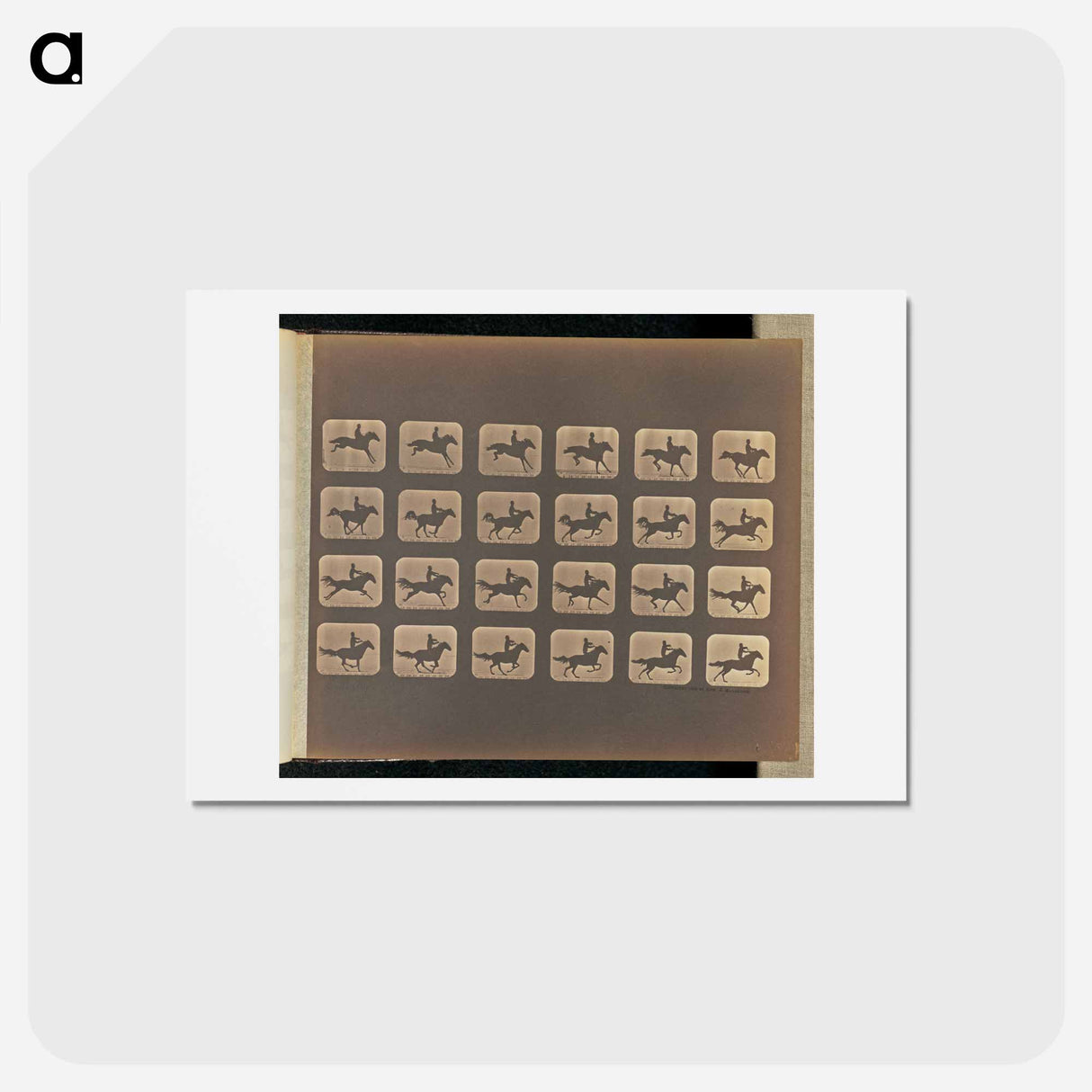 アートポストカード-Leaping
- エドワード マイブリッジ Postcard.