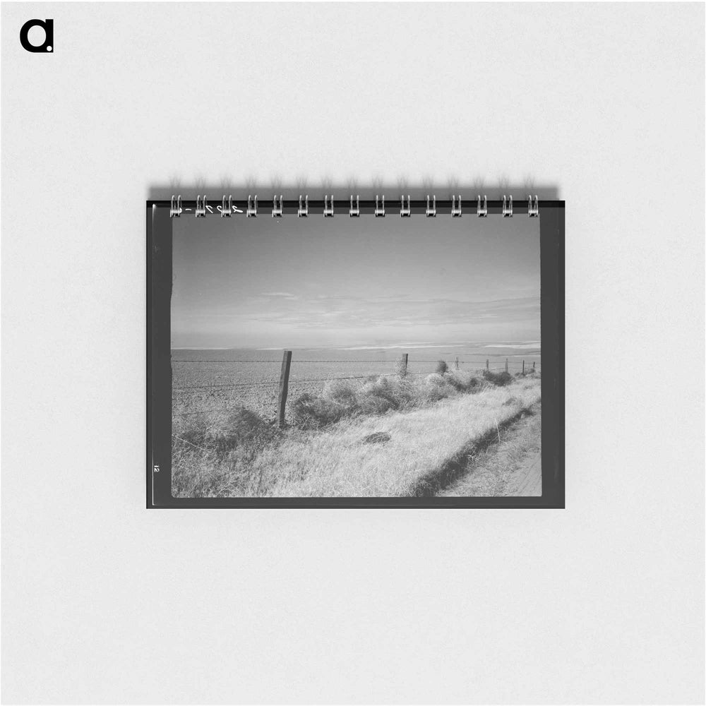 Untitled photo - ドロテア ラング Memo.