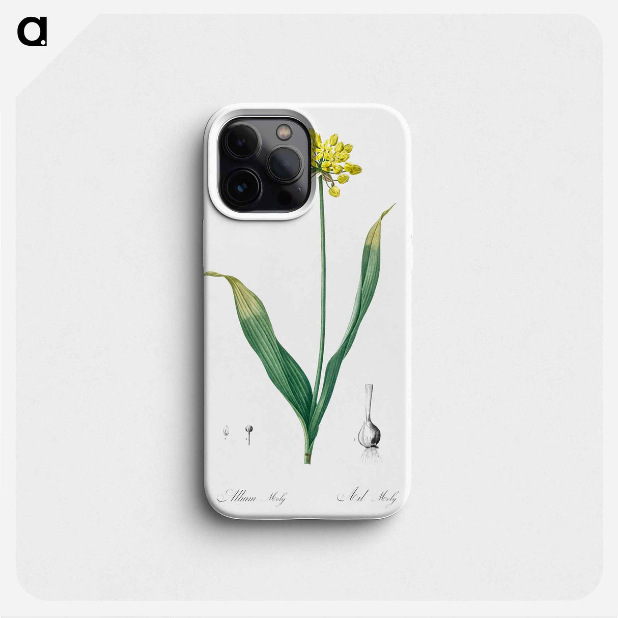Golden garlic illustration - ピエール ジョゼフ ルドゥーテ Phone Case.