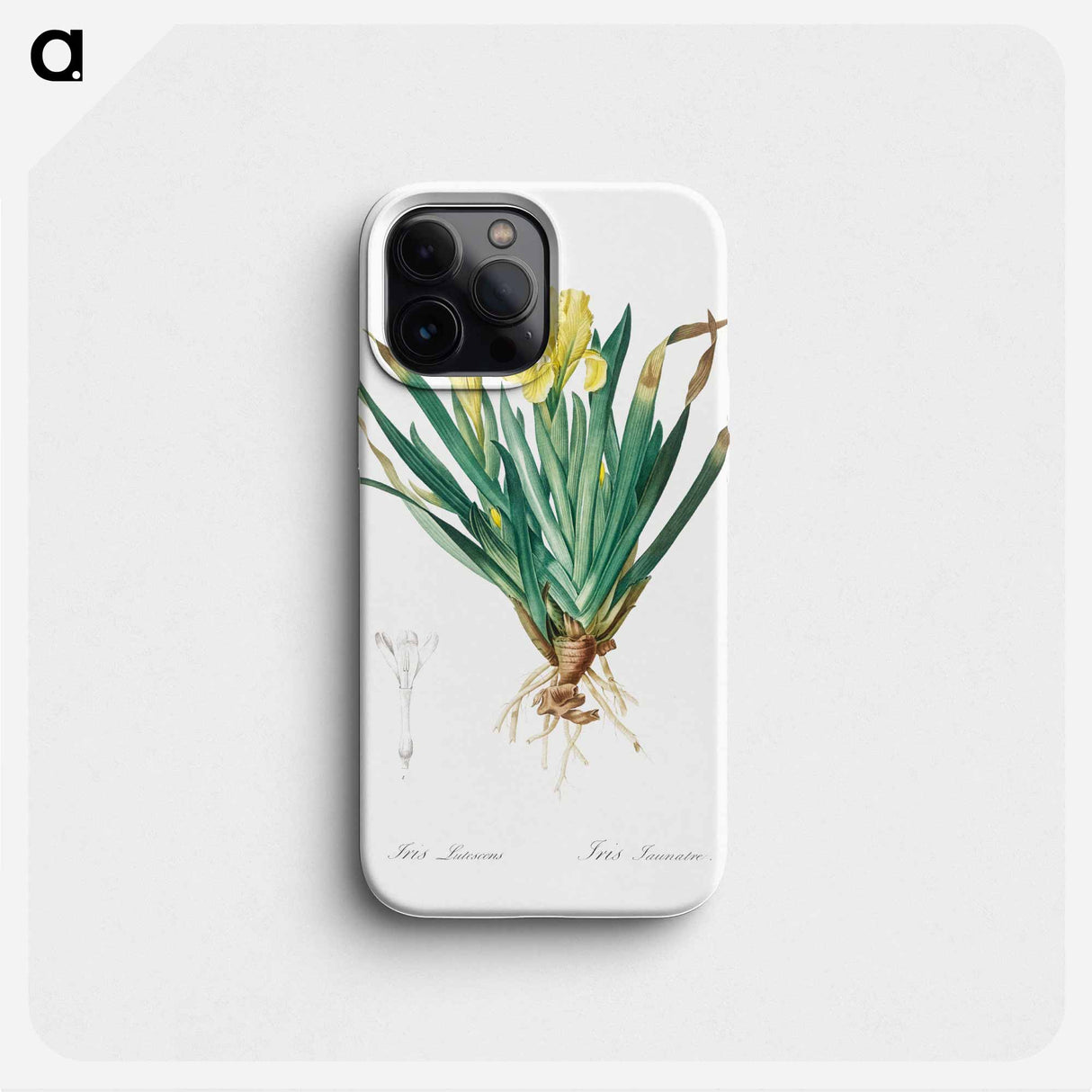 Crimean iris illustration - Pierre Joseph Redouté Phone Case.