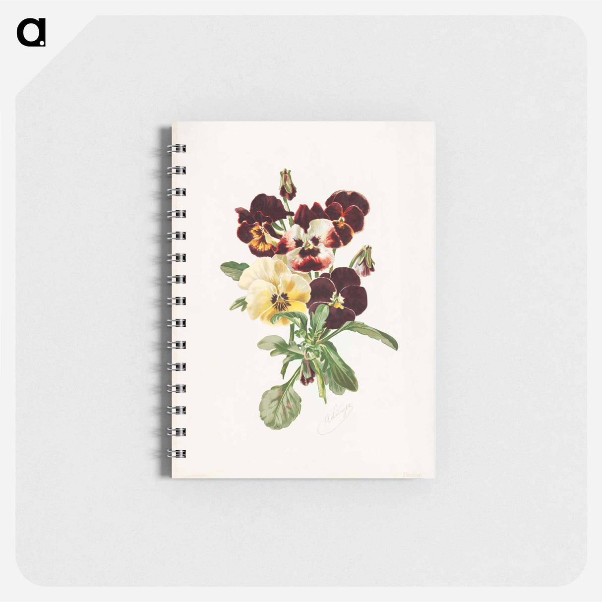 アートメモ帳-Pansies
- ボストン公共図書館 Memo.
