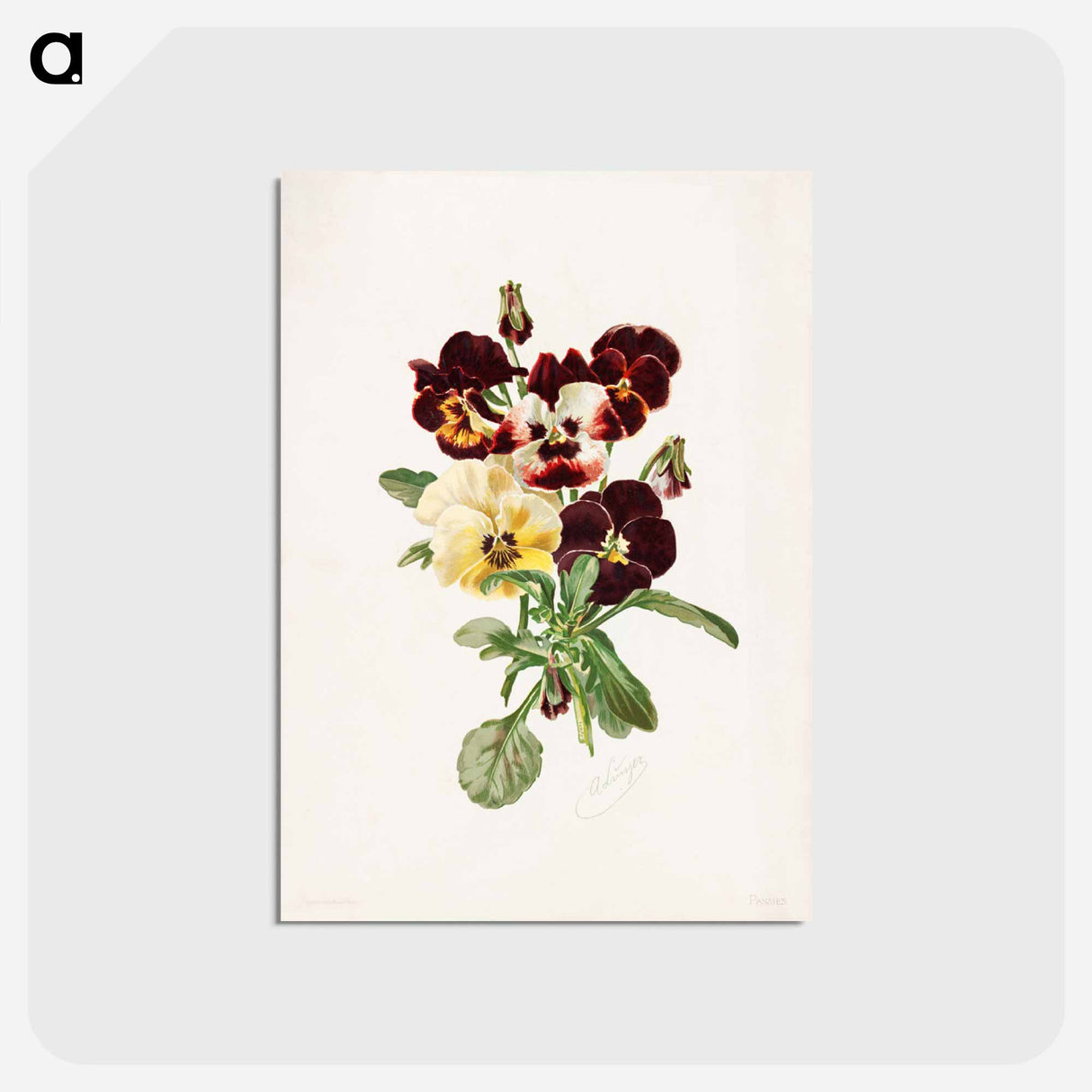 アートポストカード-Pansies
- ボストン公共図書館 Postcard.