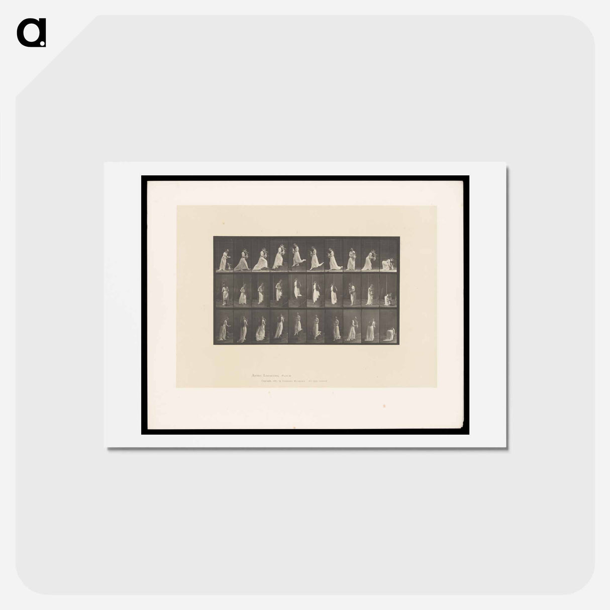 アートポストカード-Woman with Vase
- エドワード マイブリッジ Postcard.