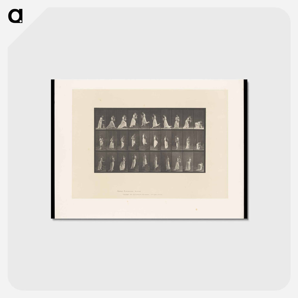 アートポストカード-Woman with Vase
- エドワード マイブリッジ Postcard.