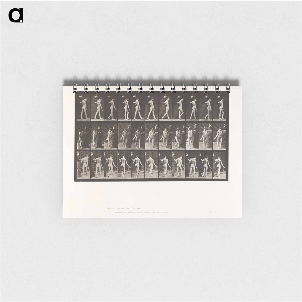 アートメモ帳-Collotype of a Girl with Nurse
- エドワード マイブリッジ Memo.
