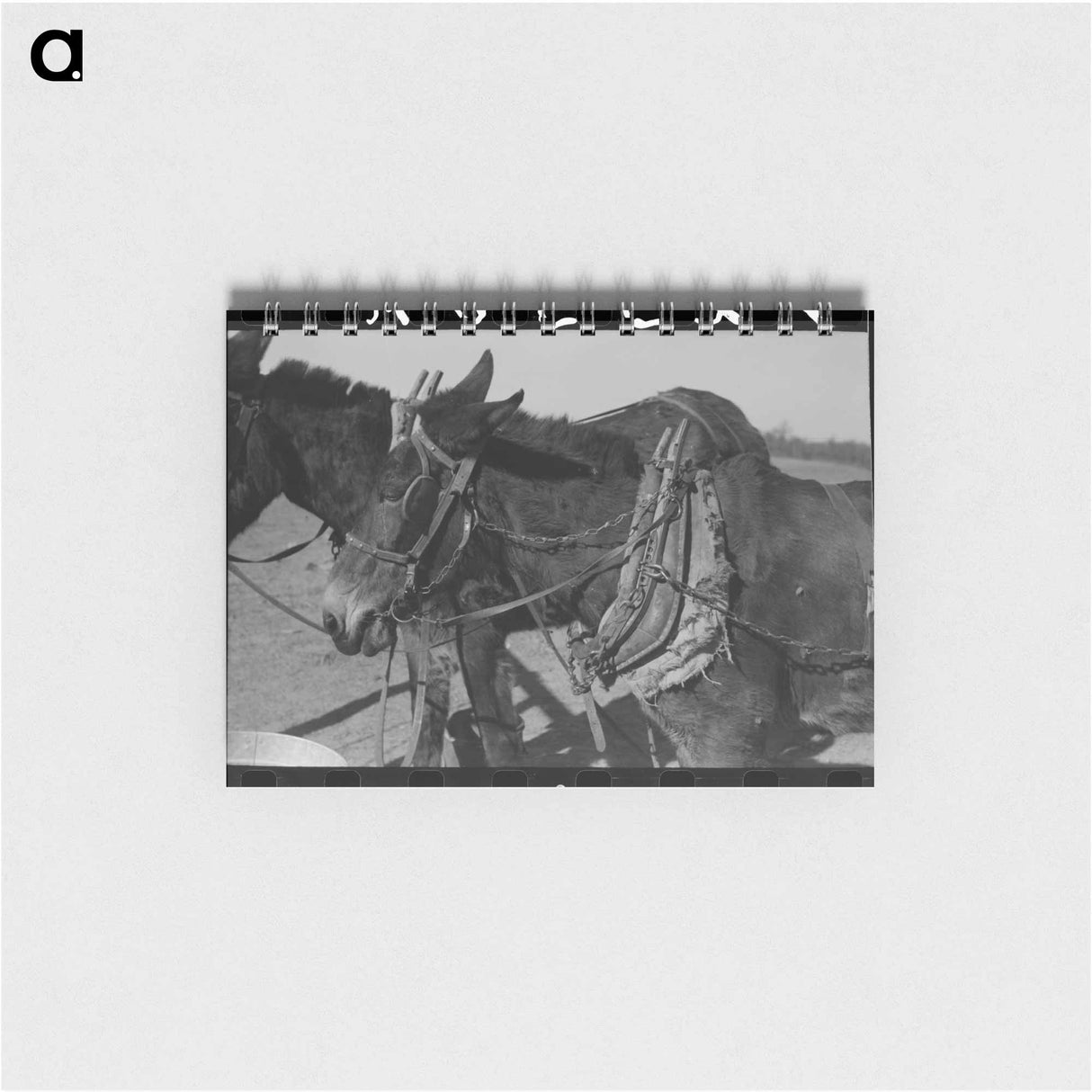 アートメモ帳-Carrick Snodgrass Home
- ラッセル リー Memo.