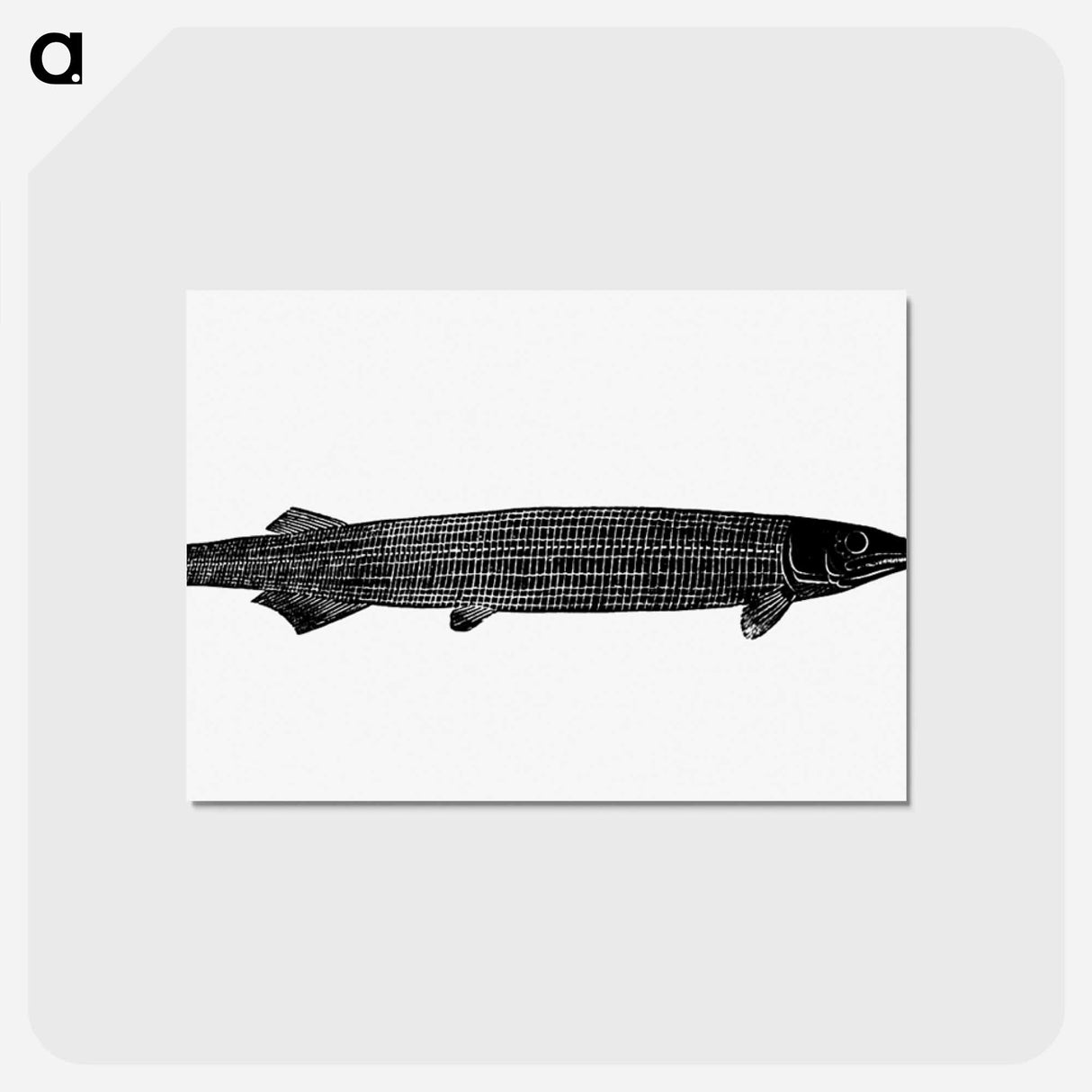 アートポストカード-Fish from Manual Of Geology
- 大英図書館 Postcard.