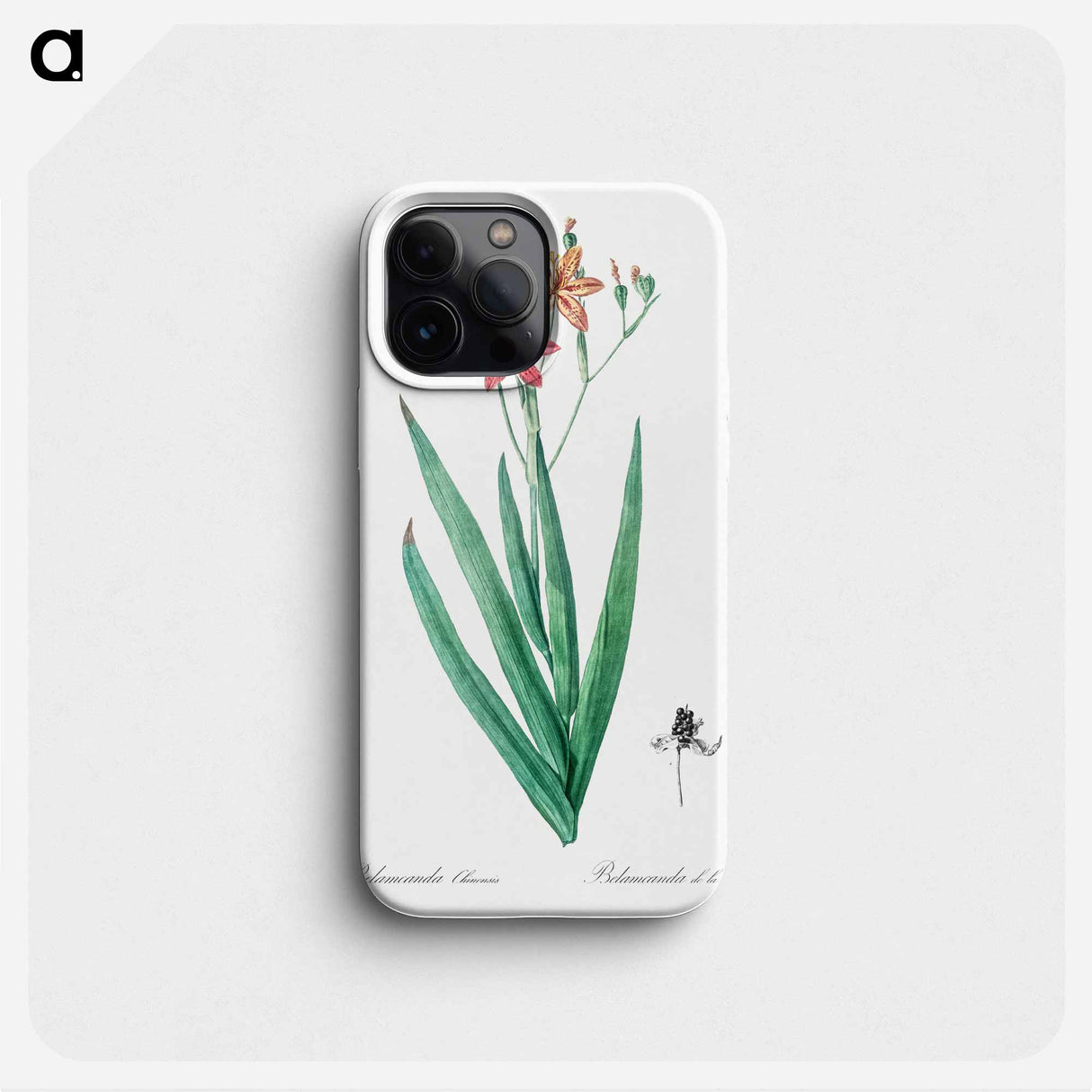 Blackberry Lily - ピエール ジョゼフ ルドゥーテ Phone Case.