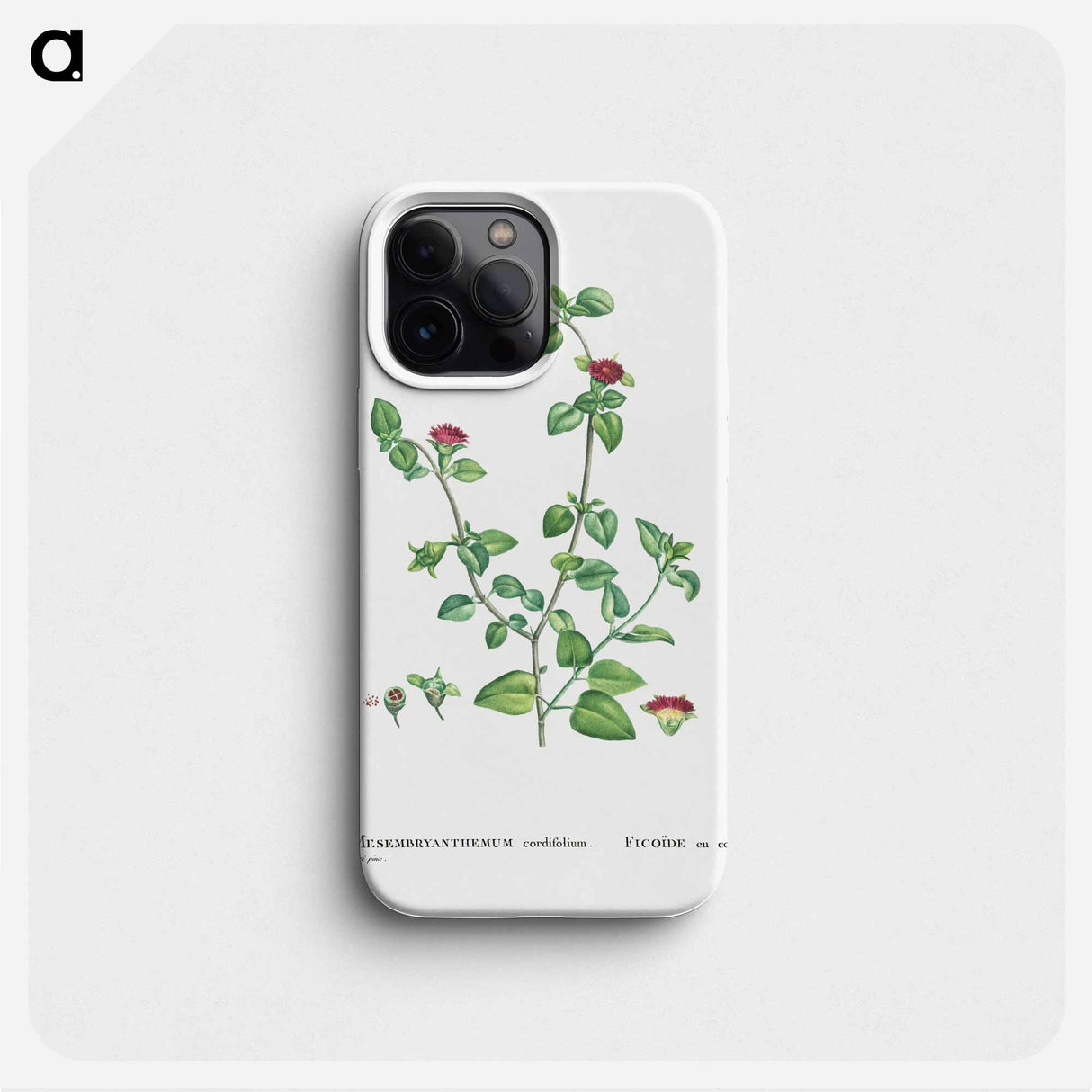 Mesembryanthemum Cordifolium (Baby Sun Rose) - ピエール ジョゼフ ルドゥーテ Phone Case.