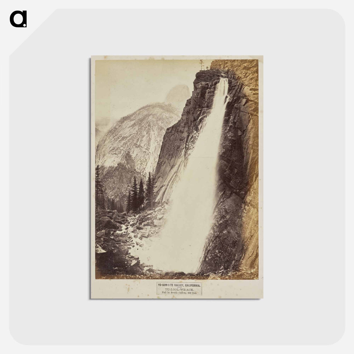 アートポストカード-Yo-Sem-i-te Valley, California
- エドワード マイブリッジ Postcard.