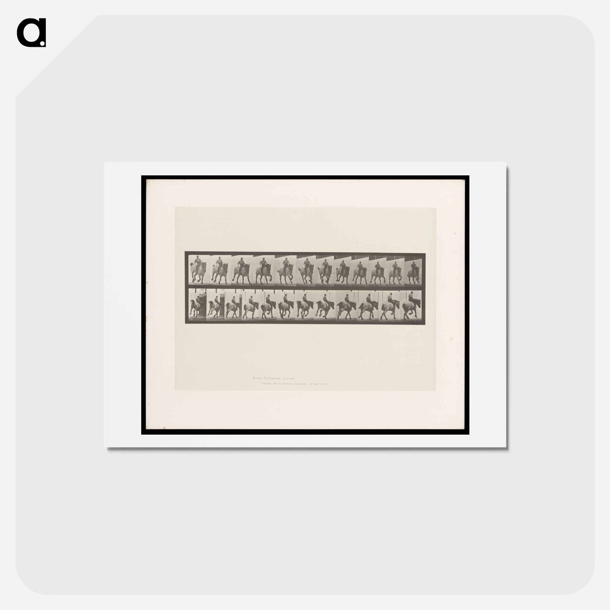 アートポストカード-Bareback Rider
- エドワード マイブリッジ Postcard.