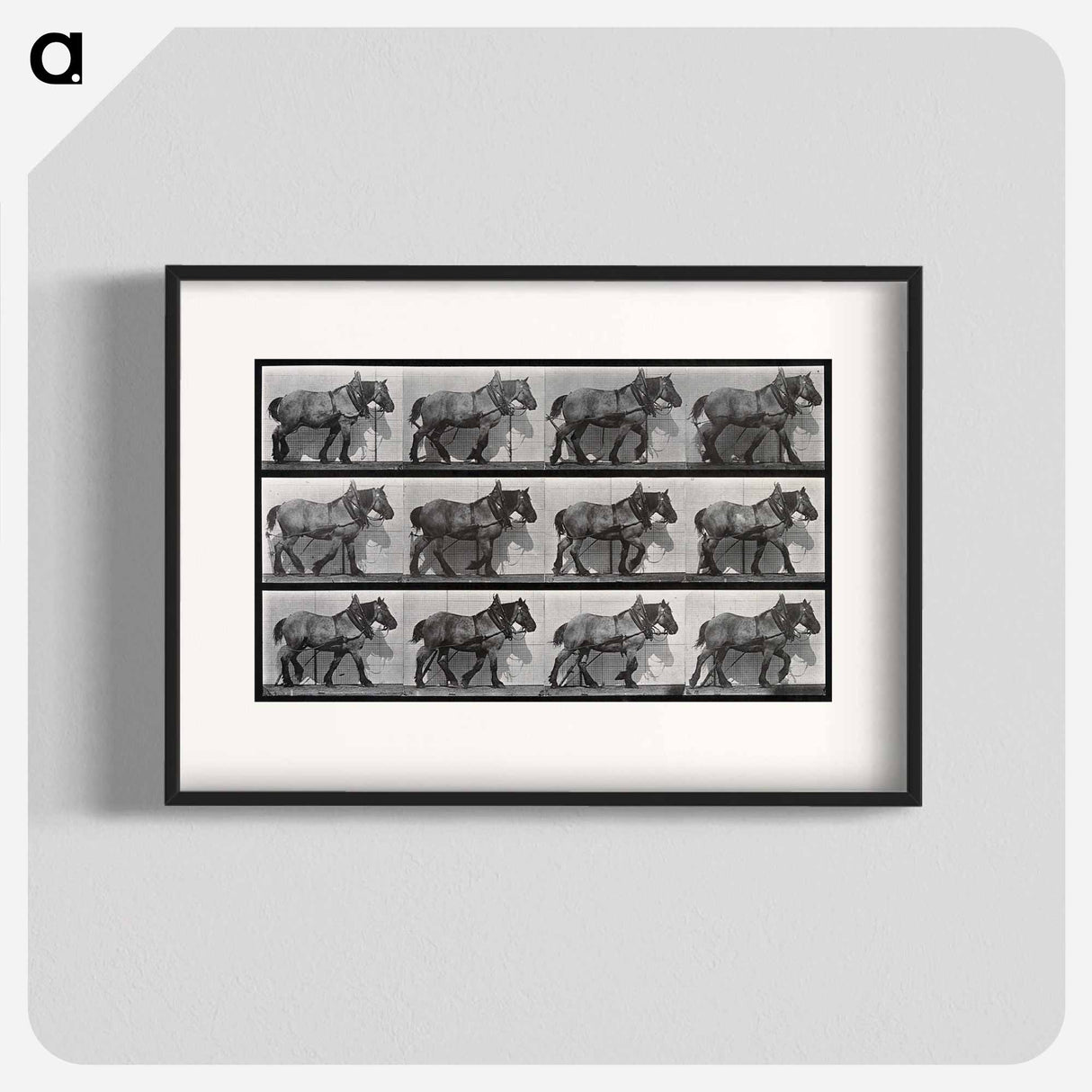 アートポスター-Cart-Horse Walking
- エドワード マイブリッジ Poster.