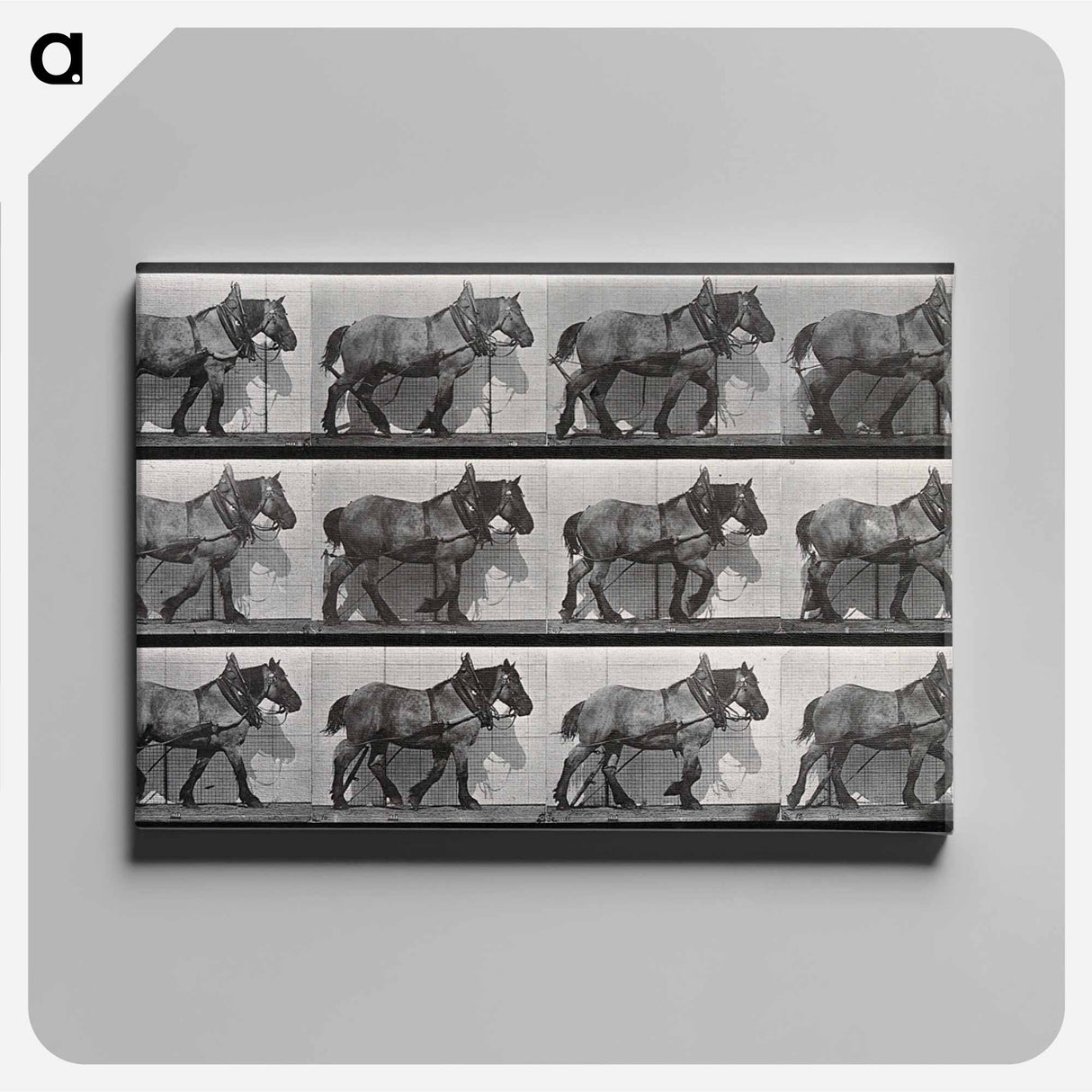 アートパネル-Cart-Horse Walking
- エドワード マイブリッジ Canvas.