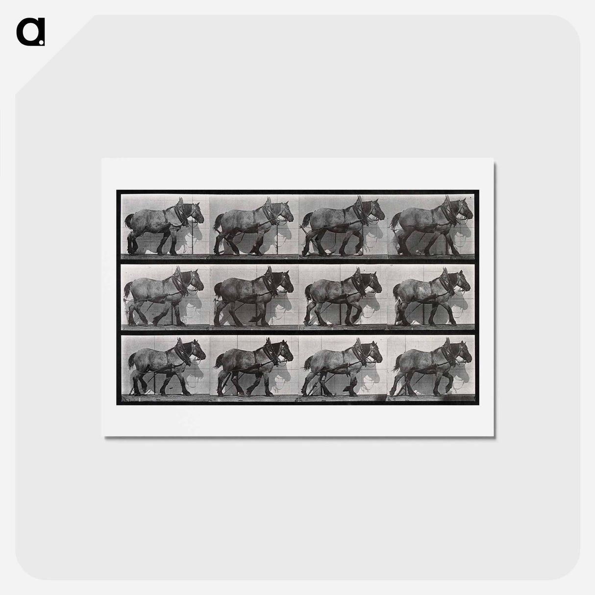 アートポストカード-Cart-Horse Walking
- エドワード マイブリッジ Postcard.