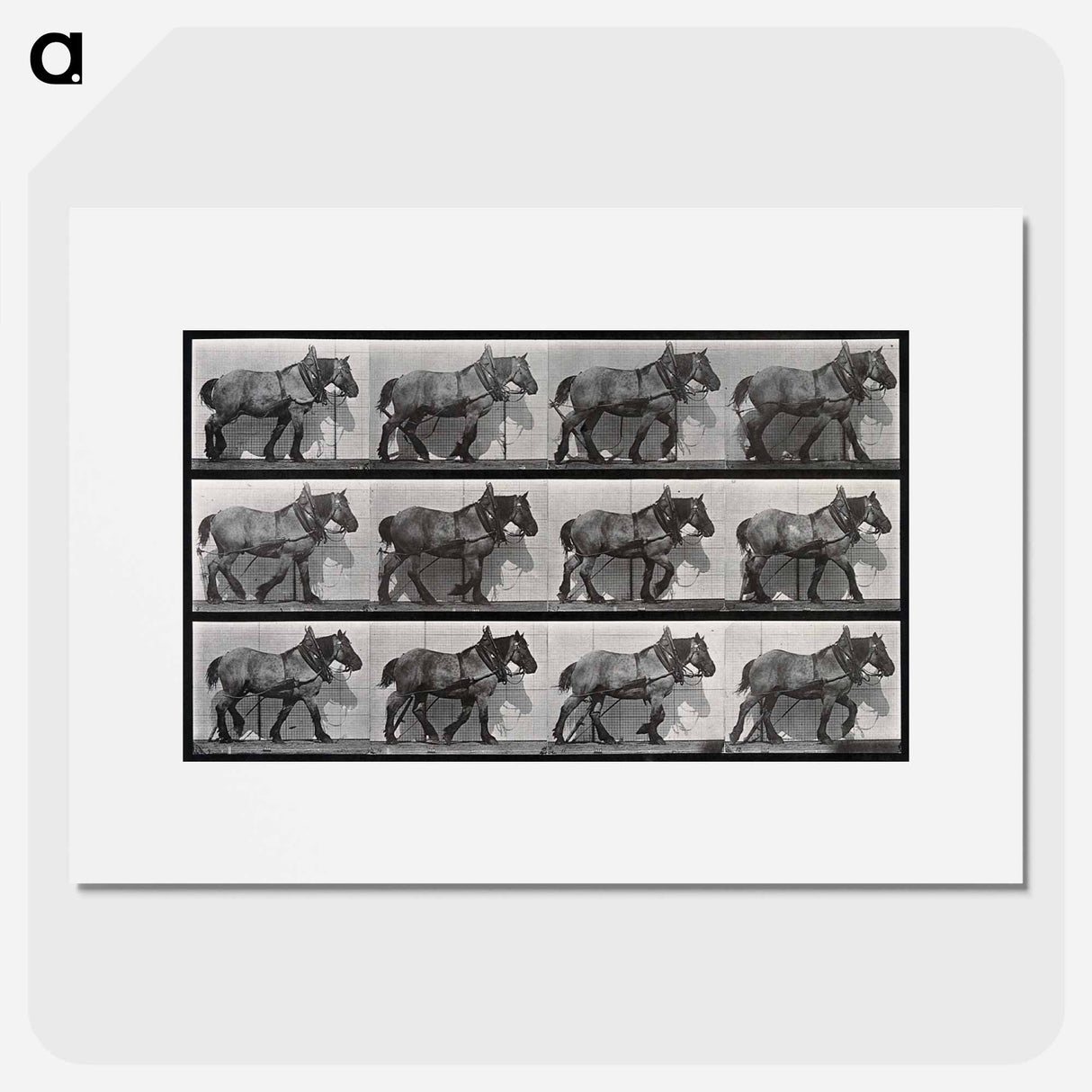 アートポスター-Cart-Horse Walking
- エドワード マイブリッジ Poster.