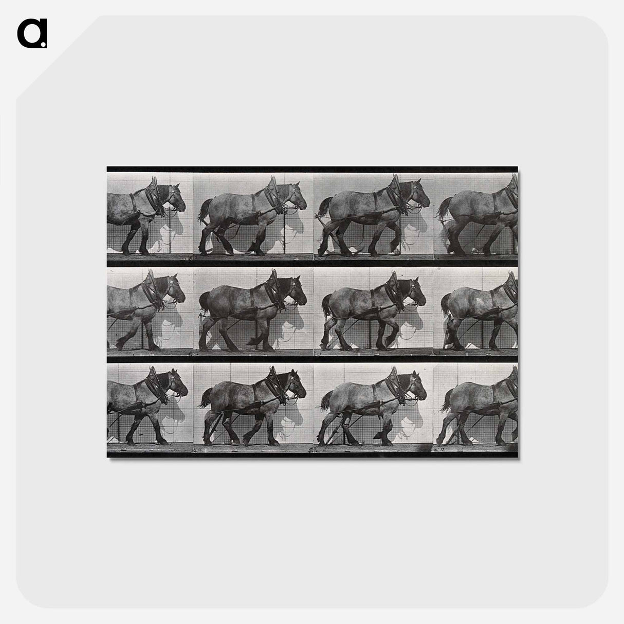 アートポストカード-Cart-Horse Walking
- エドワード マイブリッジ Postcard.