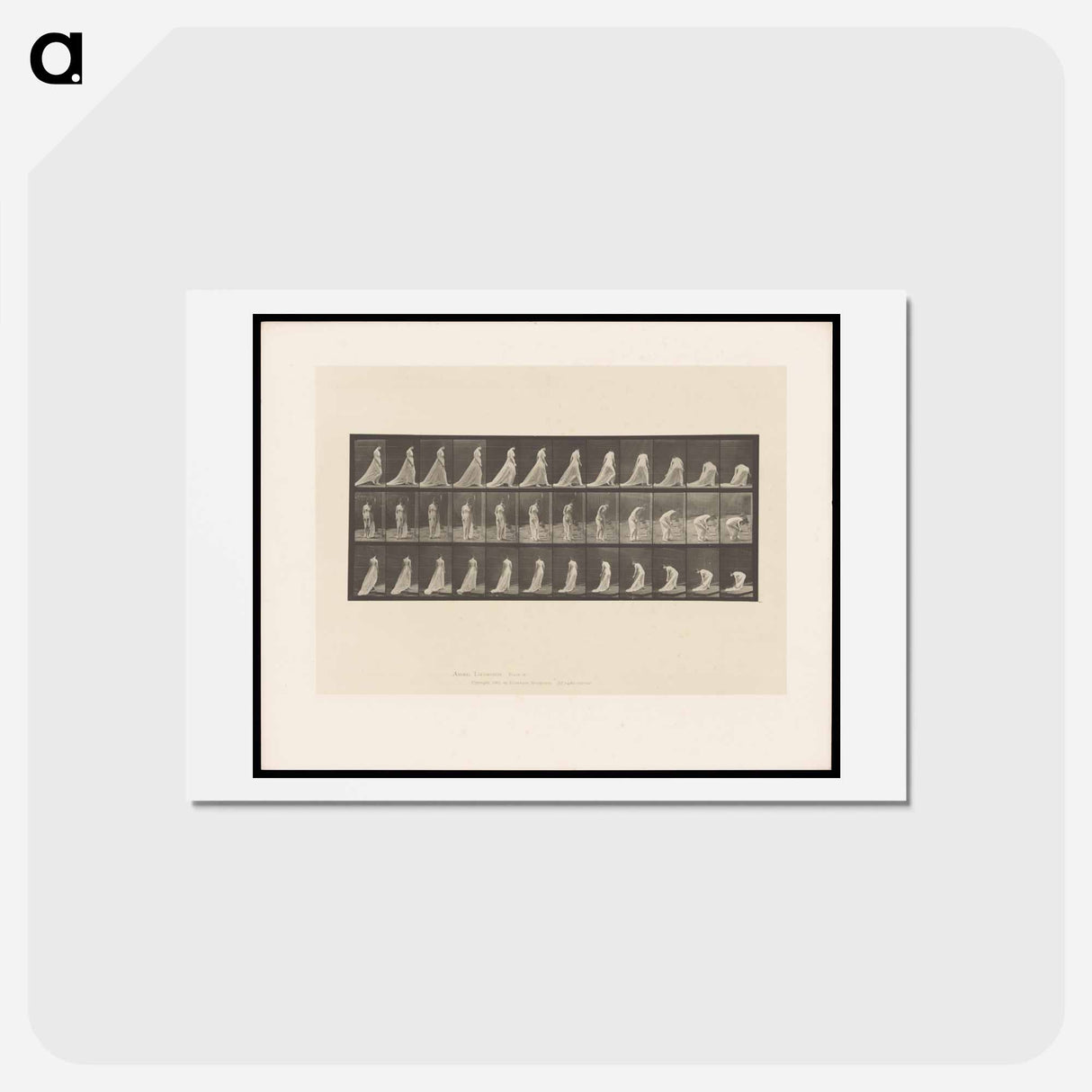 アートポストカード-Sheer Dress Walker
- エドワード マイブリッジ Postcard.