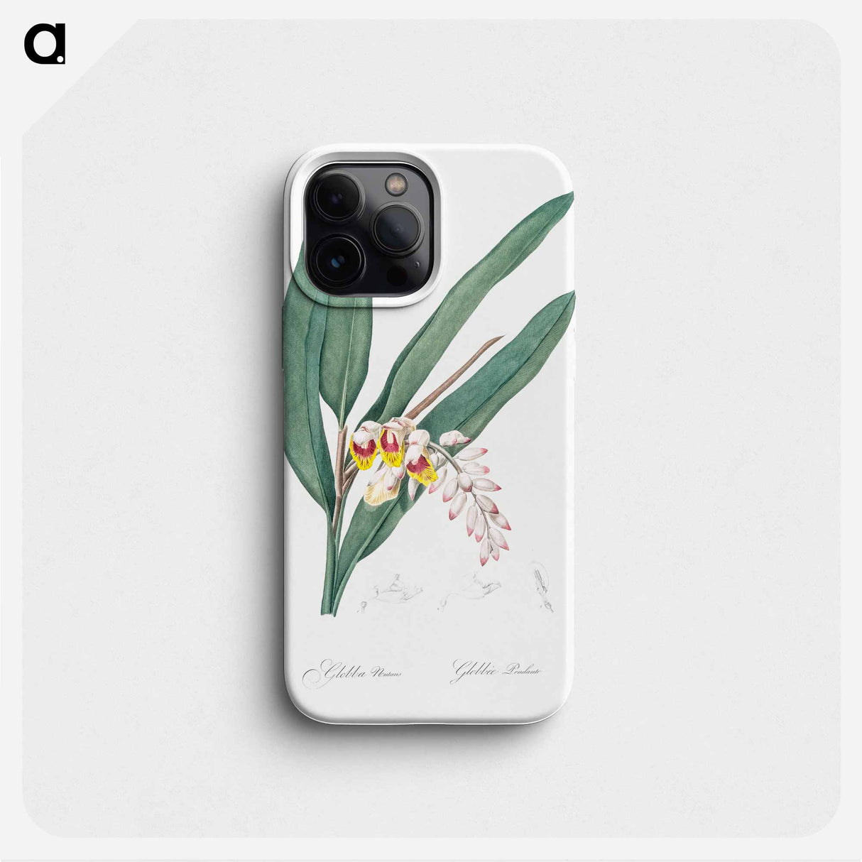 Shellflower illustration from Les liliacées - ピエール ジョゼフ ルドゥーテ Phone Case.