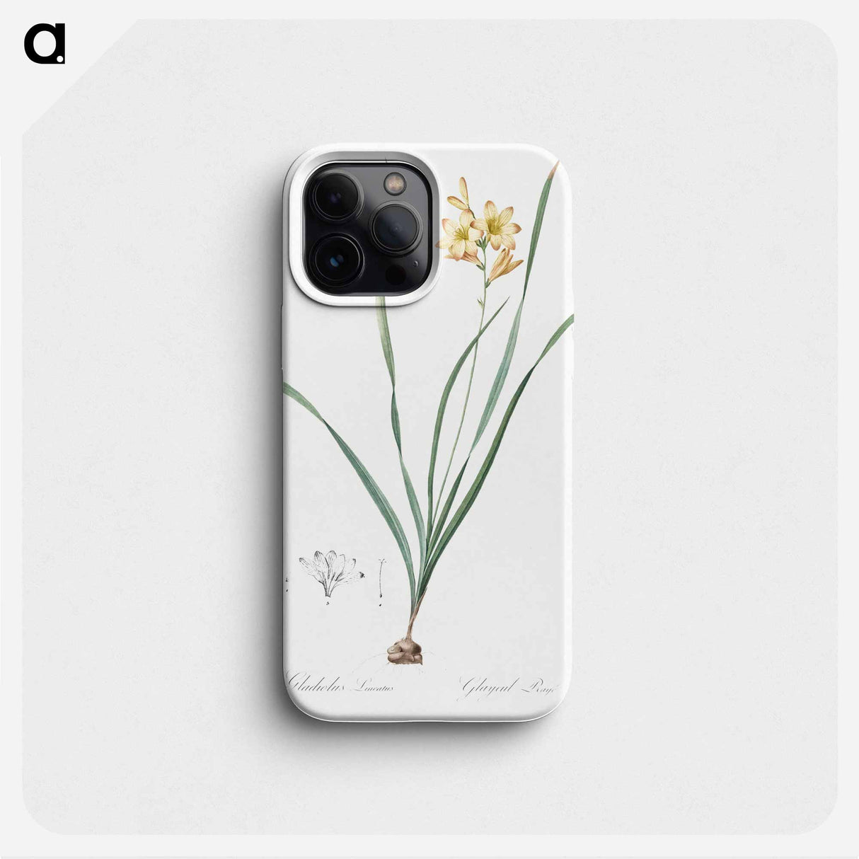 Gladiolus lineatus illustration - Pierre Joseph Redouté Phone Case.