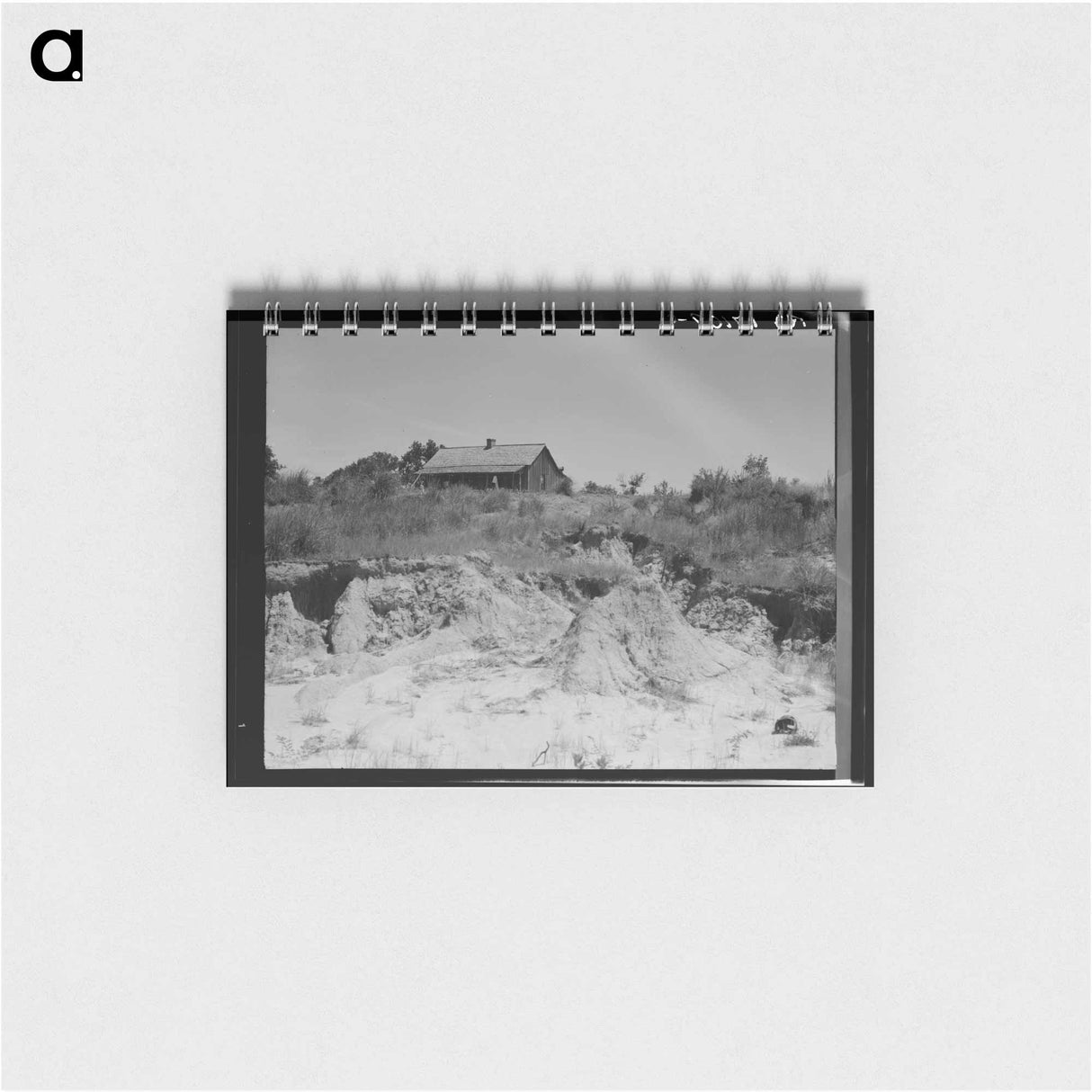 Eroded cotton farm near Jackson, Mississippi - ドロテア ラング Memo.