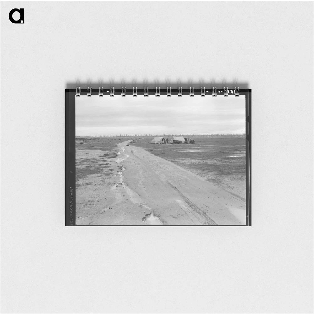 Untitled photo - ドロテア ラング Memo.