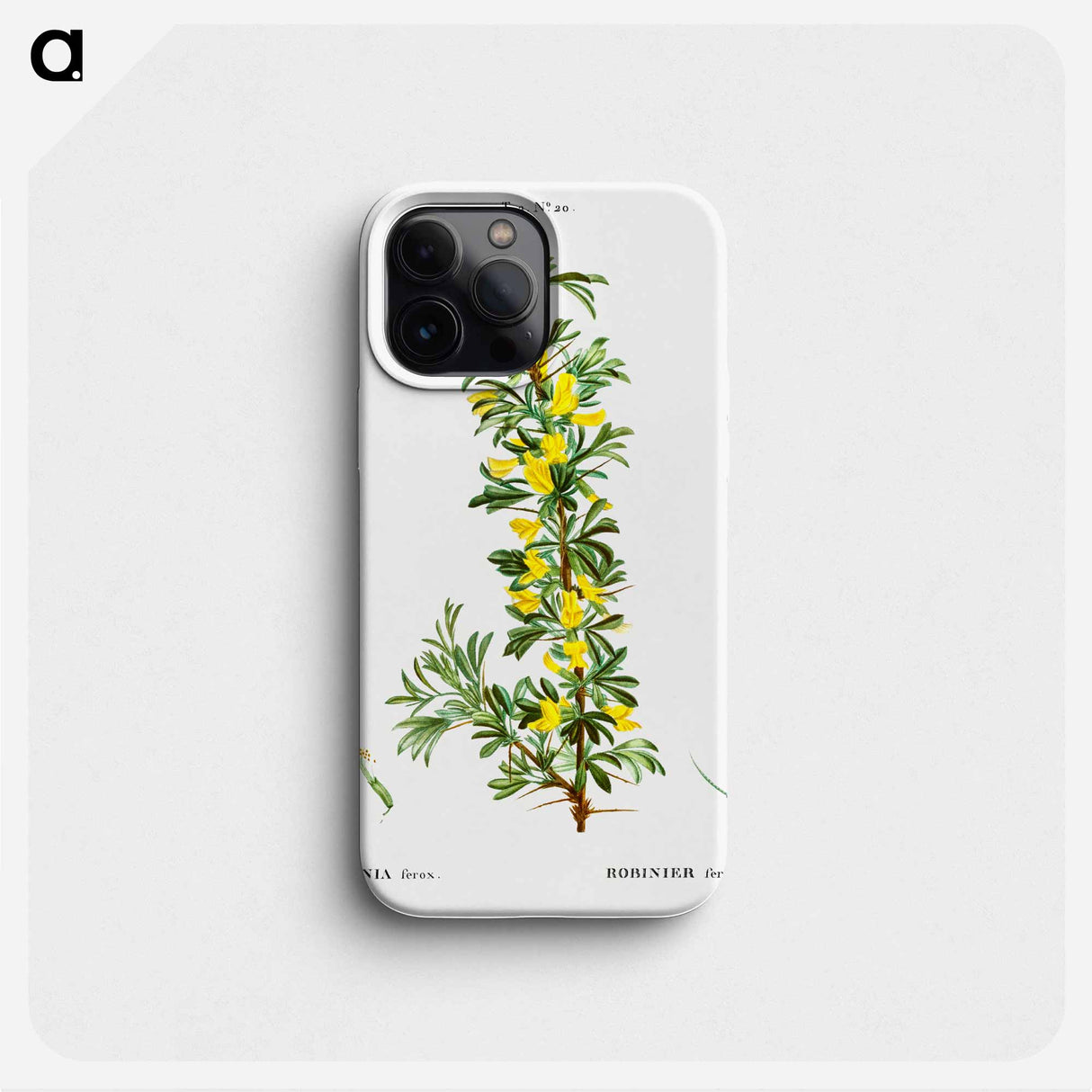 Robinia caragana - ピエール ジョゼフ ルドゥーテ Phone Case.