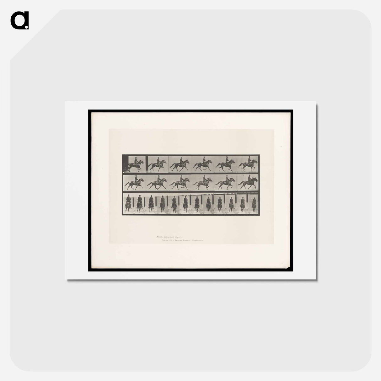 アートポストカード-Man on Horse
- エドワード マイブリッジ Postcard.