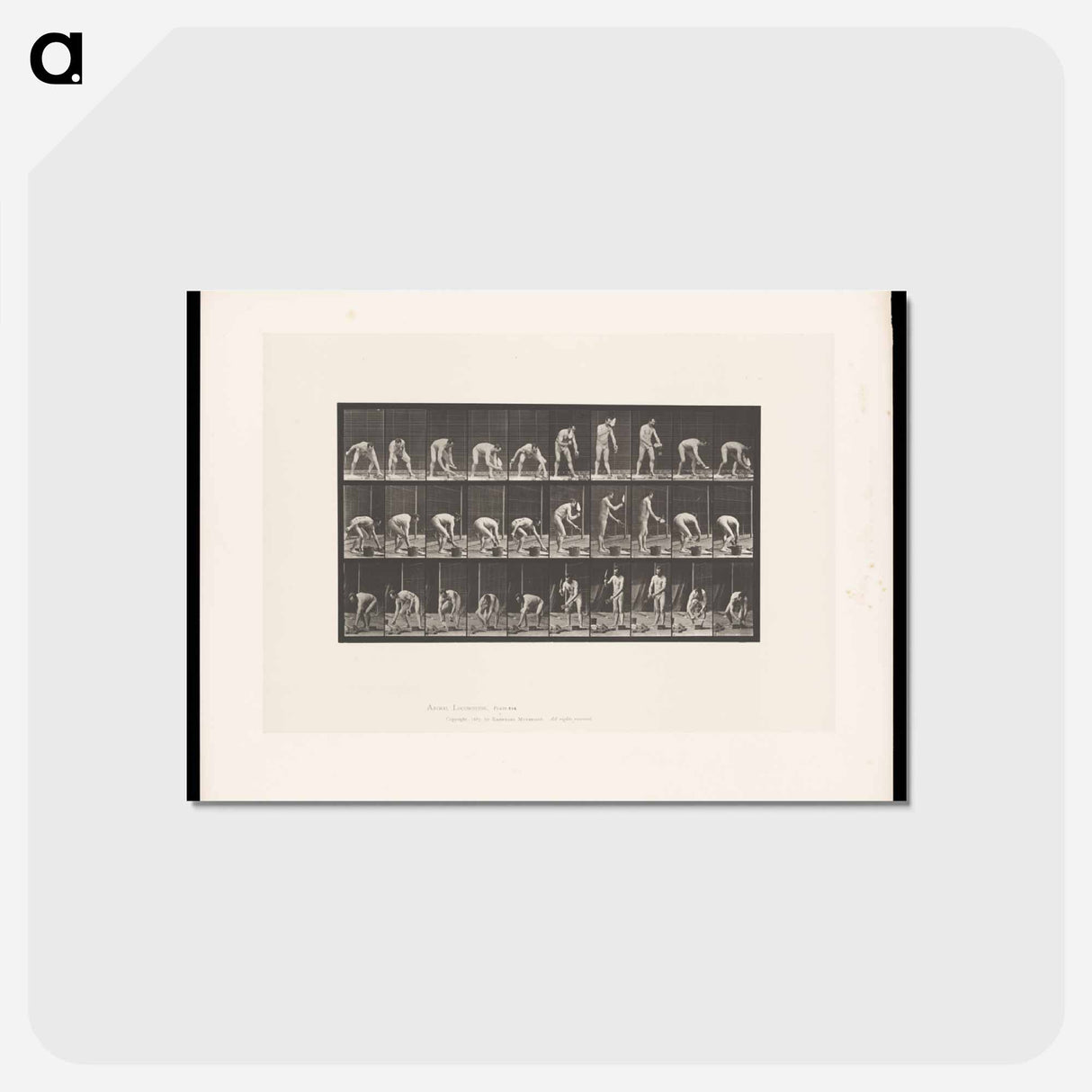 アートポストカード-Bricklayer
- エドワード マイブリッジ Postcard.