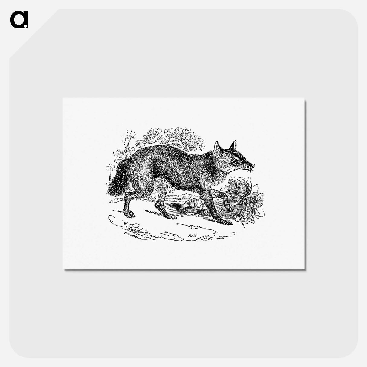 アートポストカード-Jackal from The Land of the Lion; or, Adventures Among the Wild Animals of Africa
- 大英図書館 Postcard.