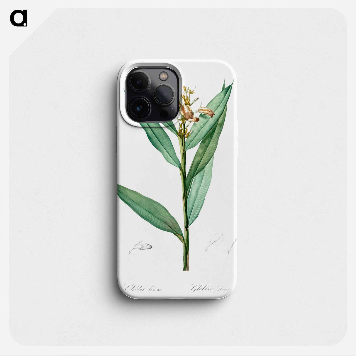 Globba erecta illustration - Pierre Joseph Redouté Phone Case.