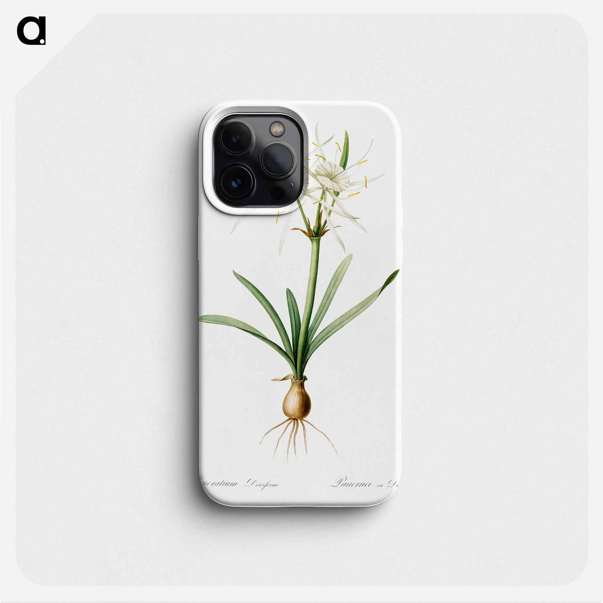 Streambank spiderlily - ピエール ジョゼフ ルドゥーテ Phone Case.