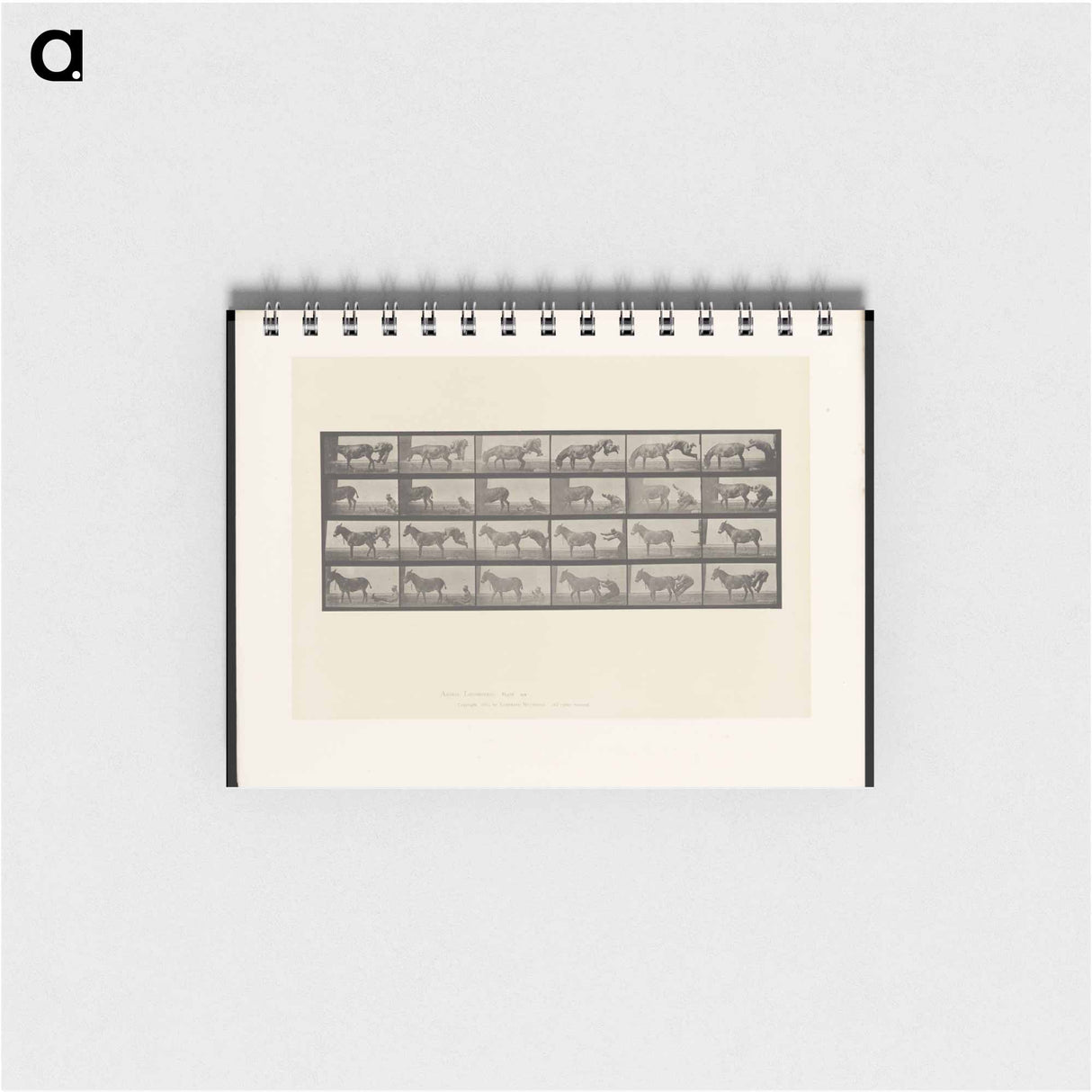 アートメモ帳-Mule Stubbornness
- エドワード マイブリッジ Memo.