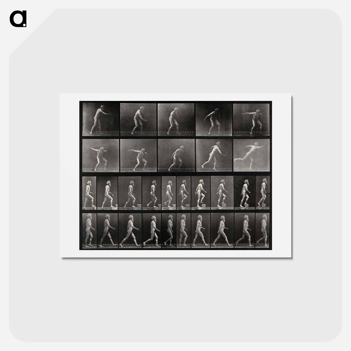 アートポストカード-E. Muybridge's Motion Studies
- エドワード マイブリッジ Postcard.