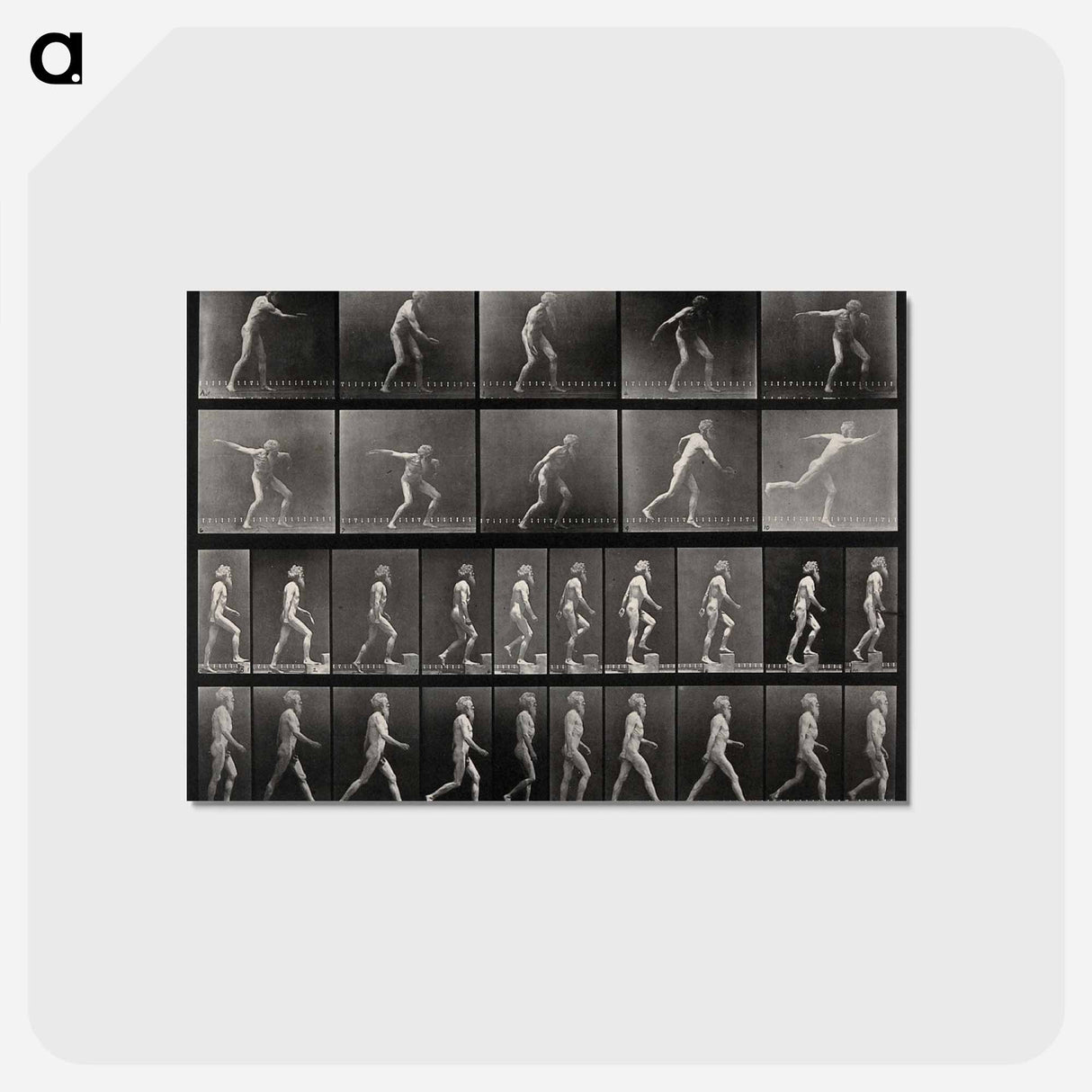 アートポストカード-E. Muybridge's Motion Studies
- エドワード マイブリッジ Postcard.