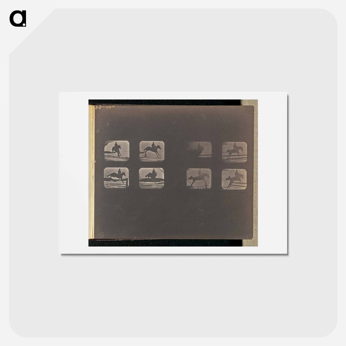 アートポストカード-Leaping
- エドワード マイブリッジ Postcard.