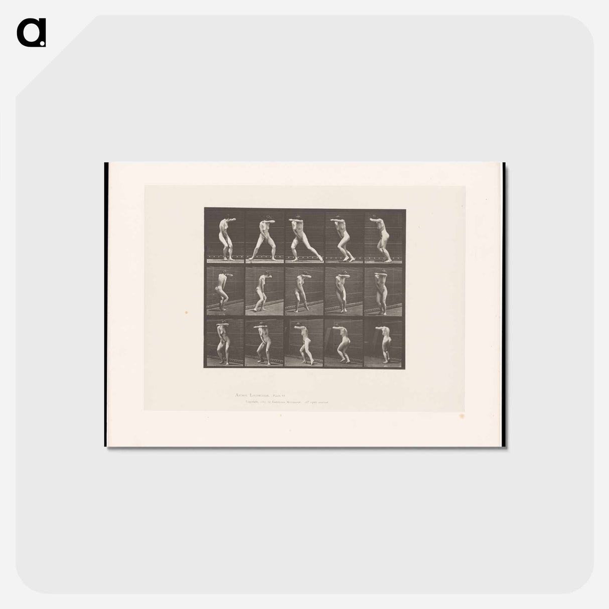 アートポストカード-Covered Face
- エドワード マイブリッジ Postcard.
