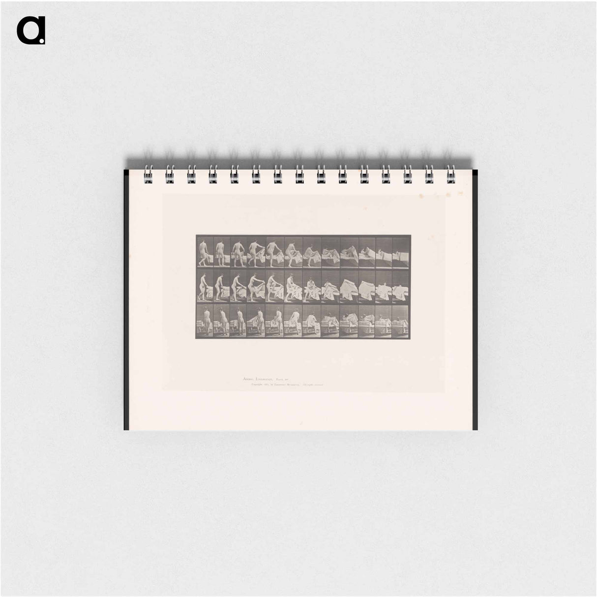 アートメモ帳-Woman Entering Bed
- エドワード マイブリッジ Memo.