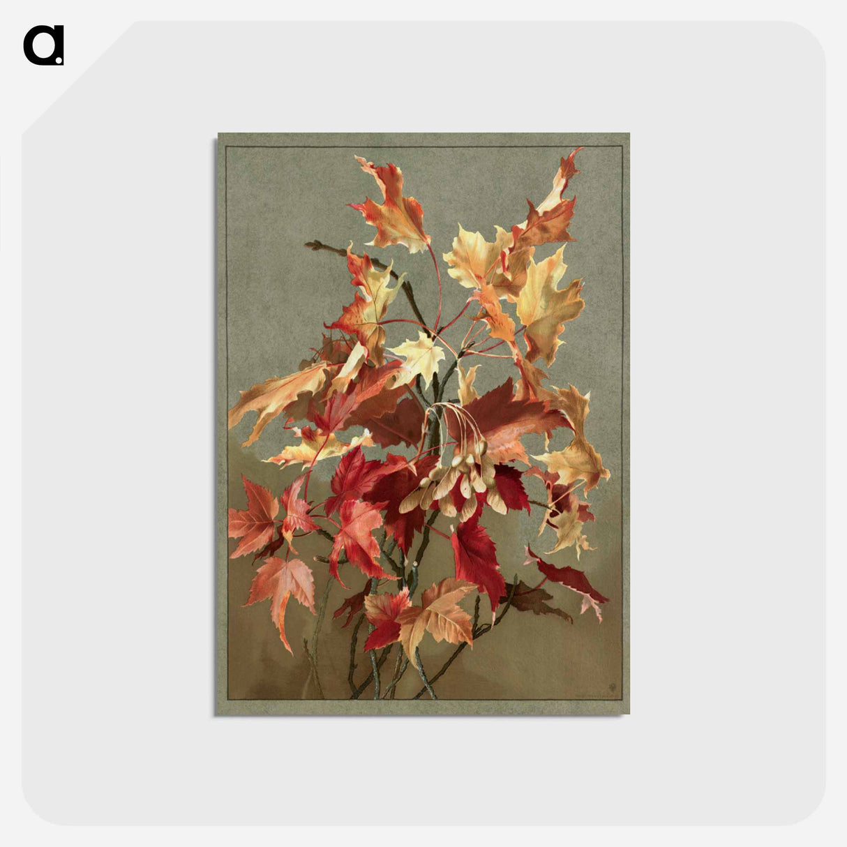 アートポストカード-Autumn Leaves, No. 2 (Maple)
- ボストン公共図書館 Postcard.
