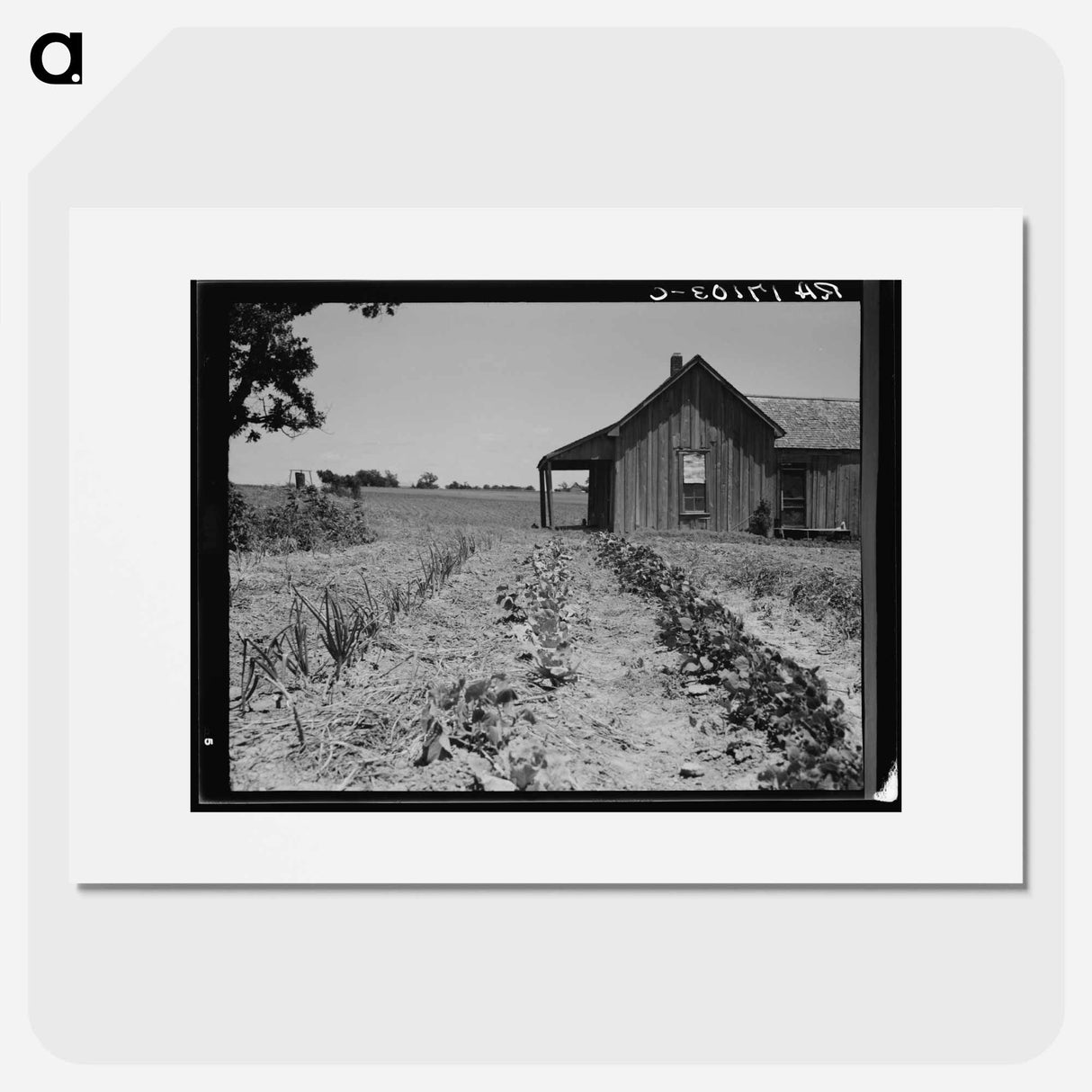 House of ex-tenant farmer now on relief - Dorothea Lange Poster.