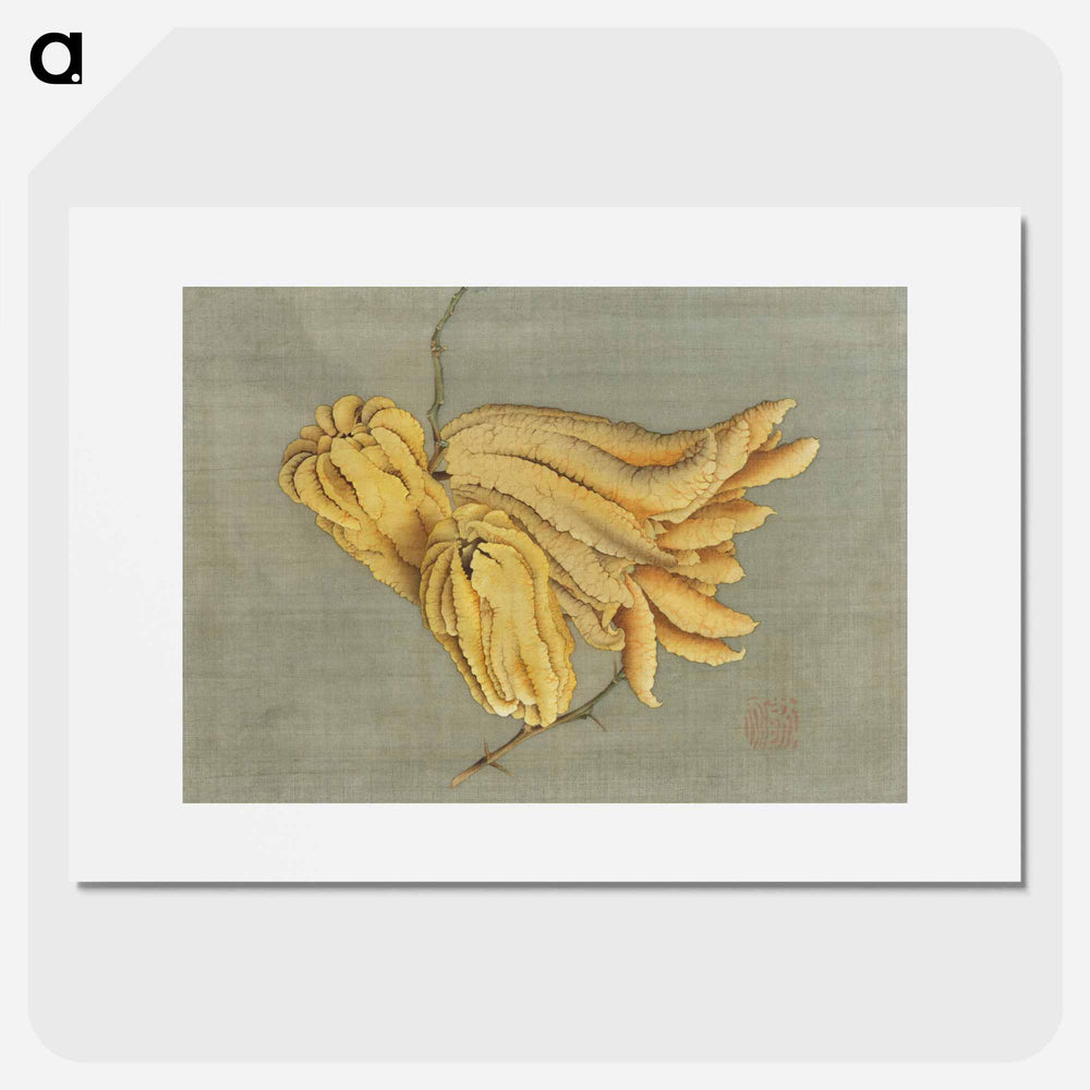 Buddha's Hand Citron, Busshukan - 葛飾 北斎 Poster.