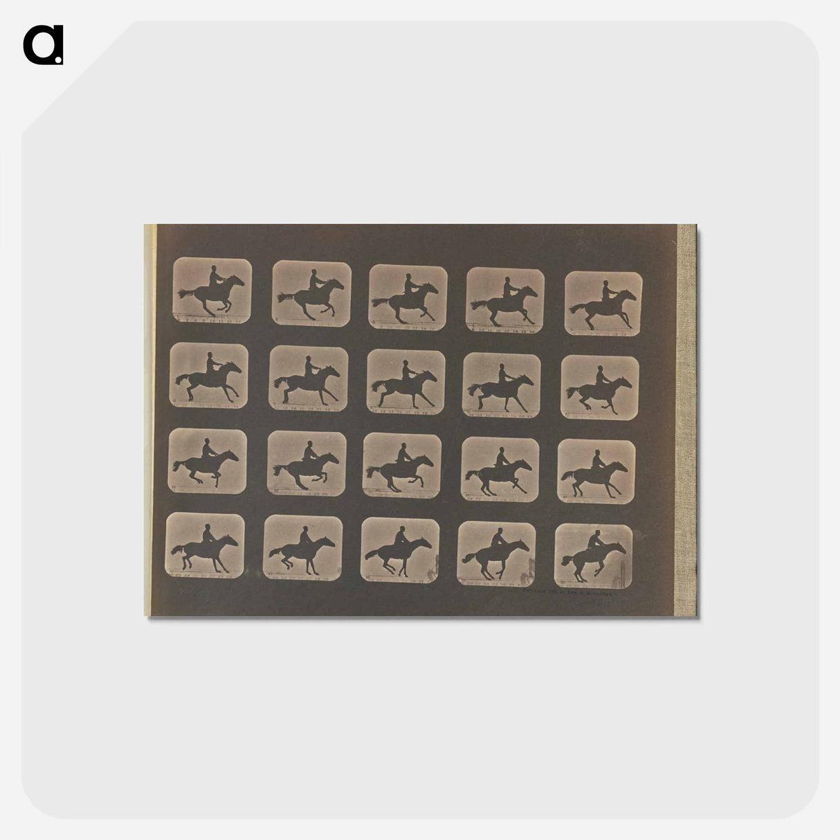 アートポストカード-Leaping
- エドワード マイブリッジ Postcard.