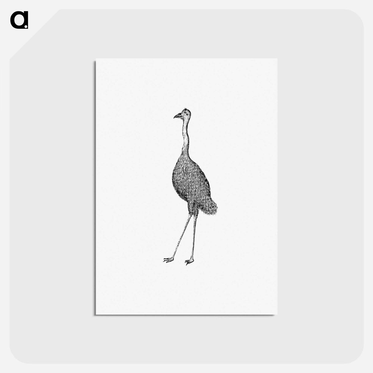 アートポストカード-Emu from An Account of the English Colony in New South Wales
- 大英図書館 Postcard.