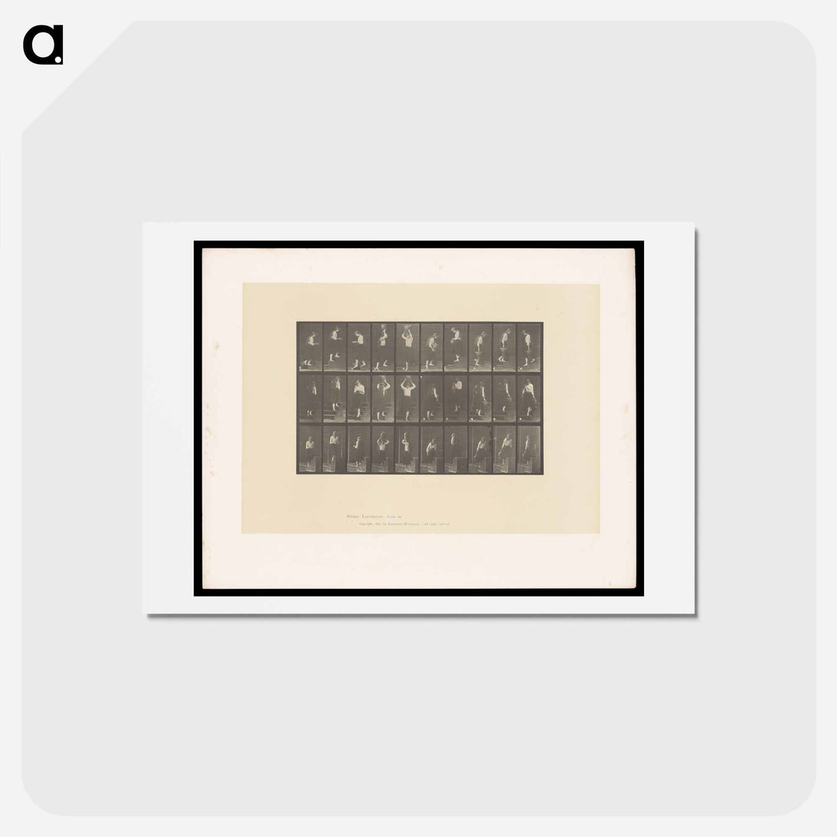 アートポストカード-Woman with Bowl and Water Jar
- エドワード マイブリッジ Postcard.